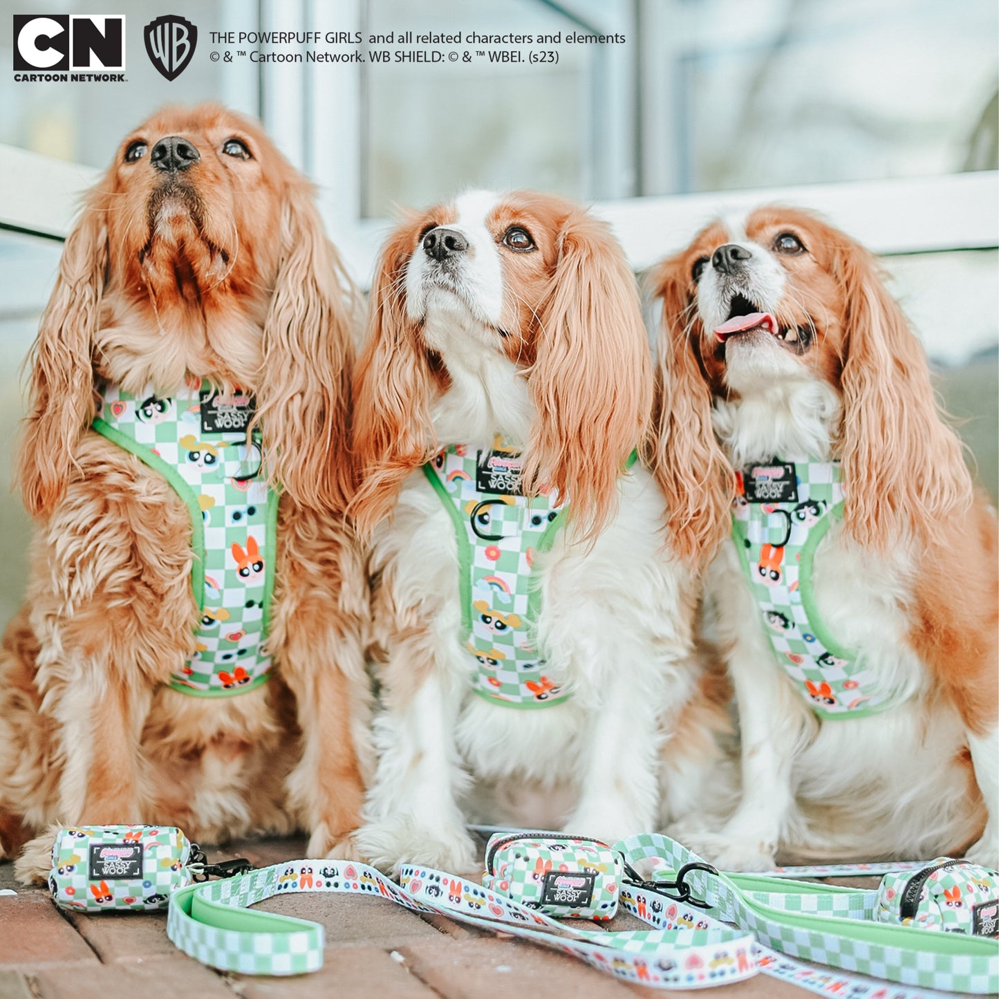 Dog Four Piece Bundle - The Powerpuff Girls™ (Green)