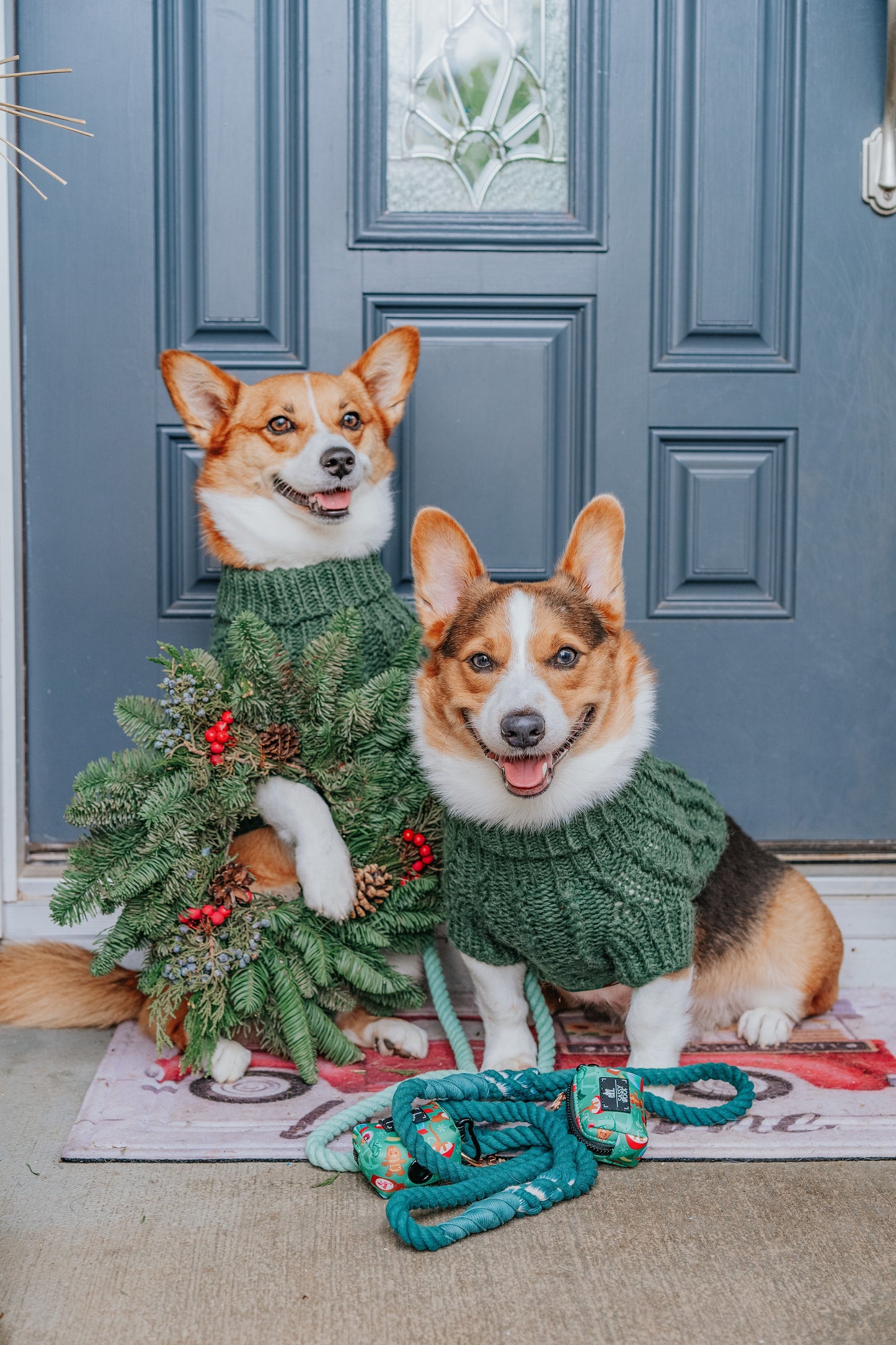 Pet Cable Knit Sweater - Dark Green