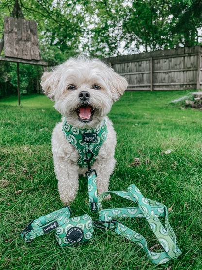 Dog Two Piece Bundle -  Kiwi Krazy