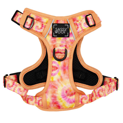 Dog Two Piece Bundle - Summer Sorbet