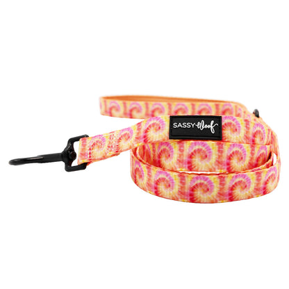 Dog Two Piece Bundle - Summer Sorbet