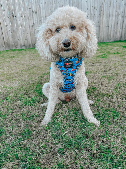 Dog Two Piece Bundle - Hot Wheels™