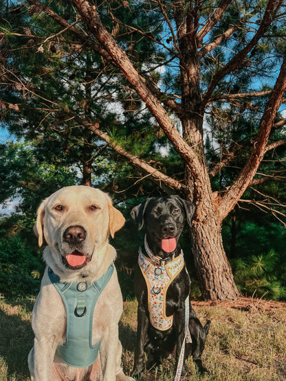 Dog Two Piece Bundle - Sunflower Dreams