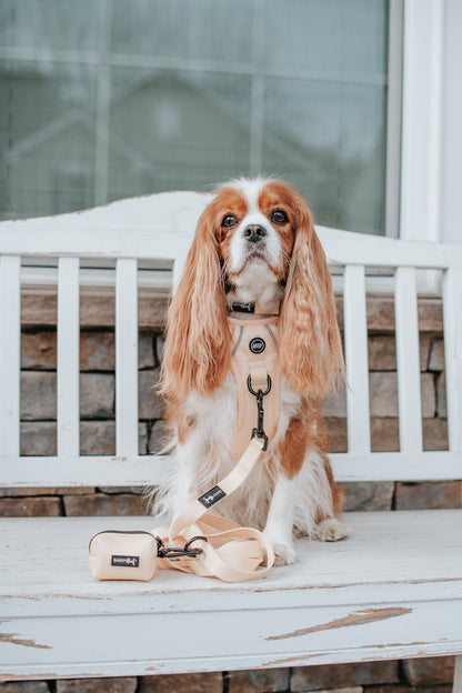 Dog Waste Bag Holder - Daffodil