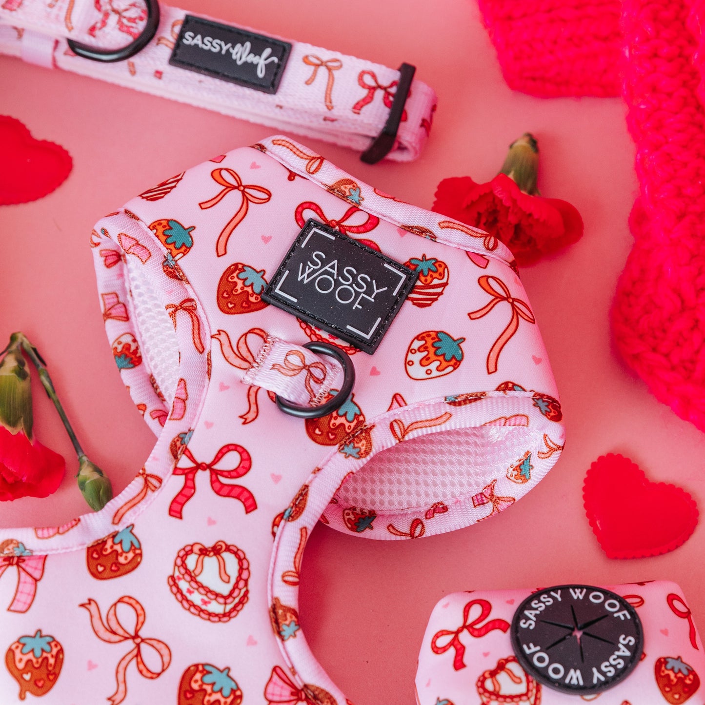 Dog Two Piece Bundle - P.S. I Woof You