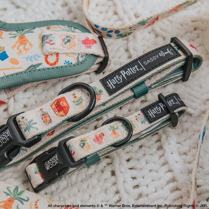 Dog Collar - Harry Potter™ Herbology