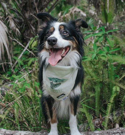 Dog Bandana - STAR WARS™ The Child™