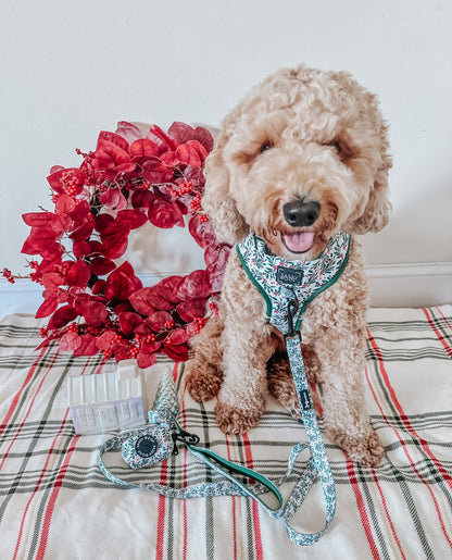 Dog Adjustable Harness - Under the Mistletoe