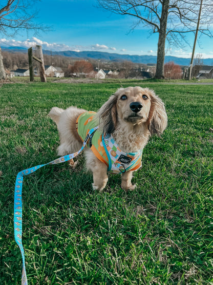 Dog Adjustable Harness - Mush Love