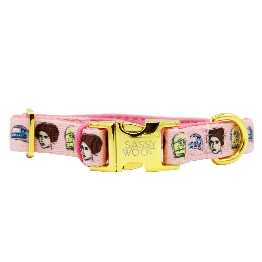 Dog Four Piece Bundle - STAR WARS™ Princess Leia