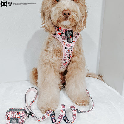Dog Waste Bag Holder - Harley Quinn™