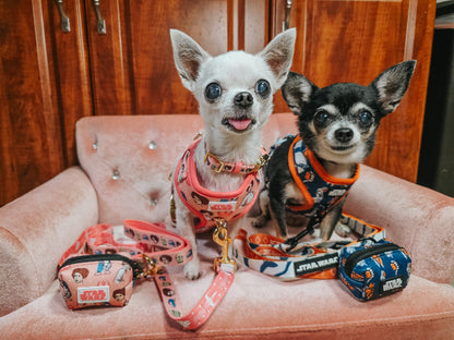 Dog Two Piece Bundle - STAR WARS™ Ahsoka