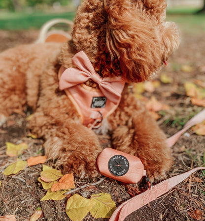 Dog Waste Bag Holder - Apple Cider