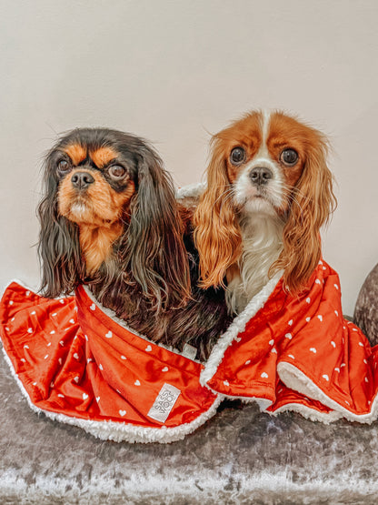Pet Blanket - Little Love