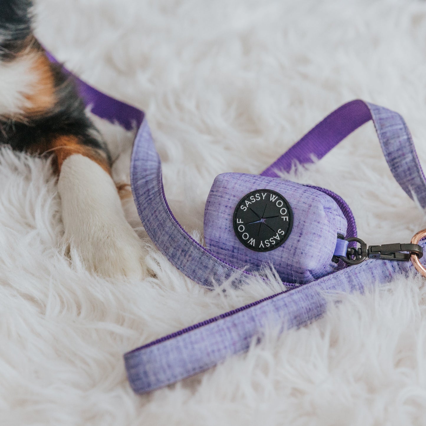 Dog Waste Bag Holder - Aurora