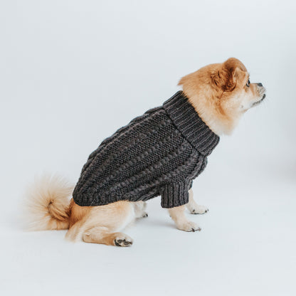 Pet Cable Knit Sweater - Black