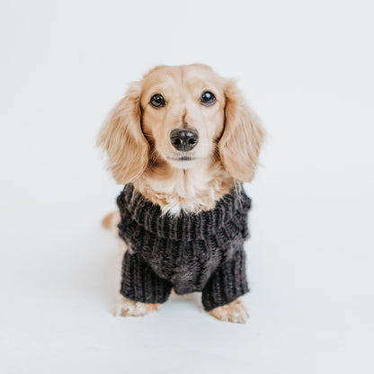 Pet Cable Knit Sweater - Black
