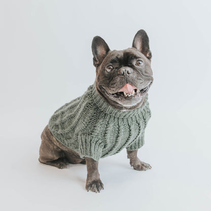 Pet Cable Knit Sweater - Dark Green