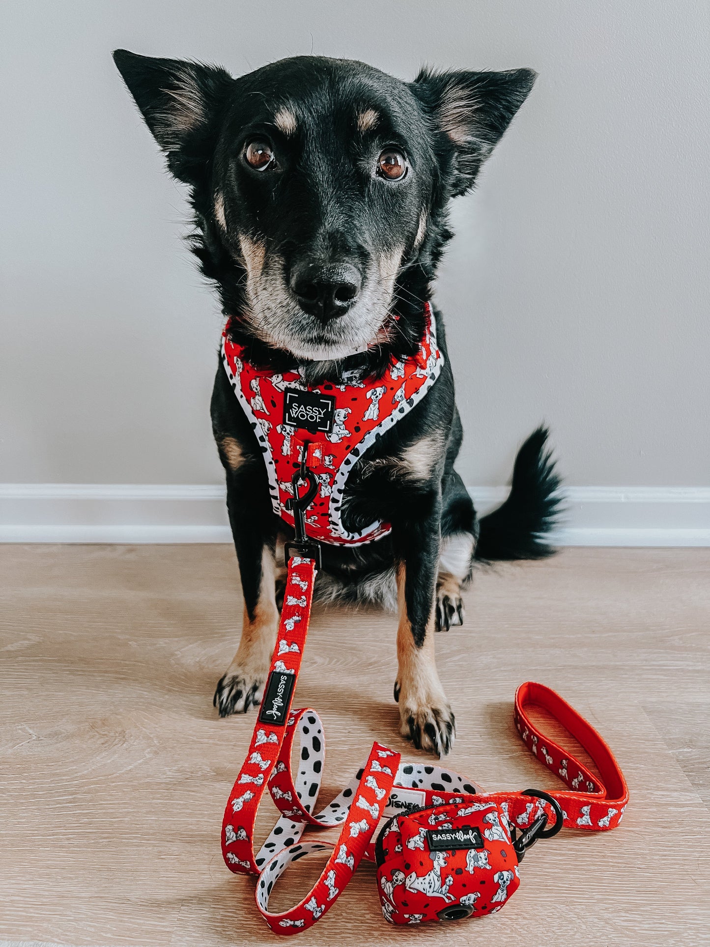 Dog Waste Bag Holder - Disney's 101 Dalmatians