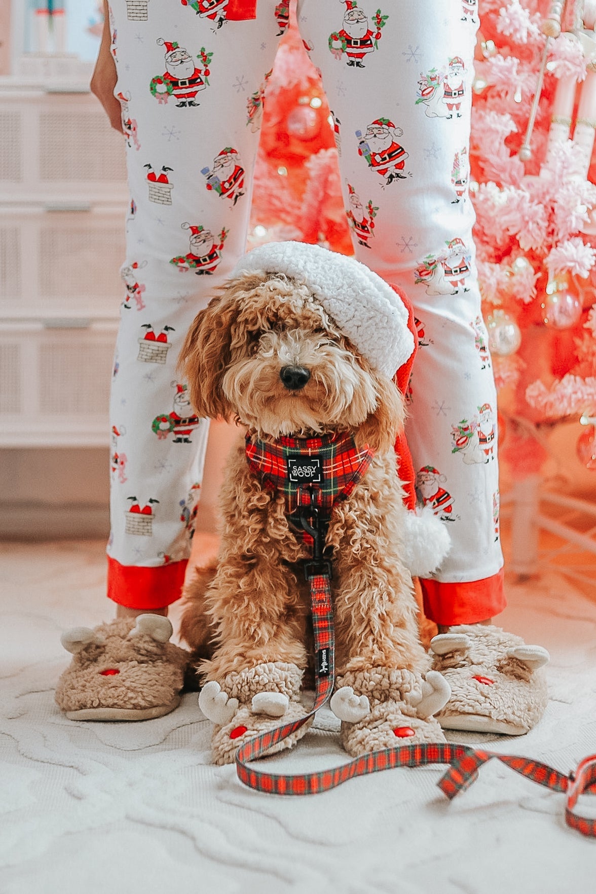 Dog Two Piece Bundle - Deck the Paws