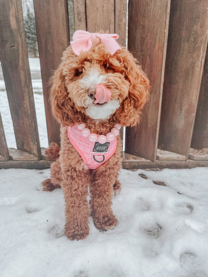 Dog Four Piece Bundle - Dolce Rose
