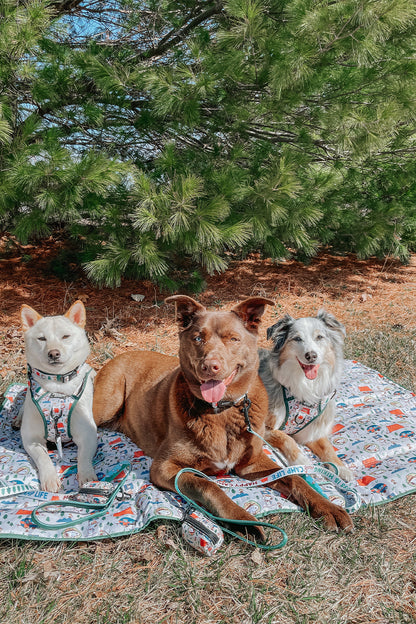 Dog Picnic Blanket - Peanuts™ Beagle Scouts
