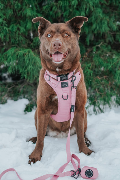 Dog Waste Bag Holder - Dusty Rose