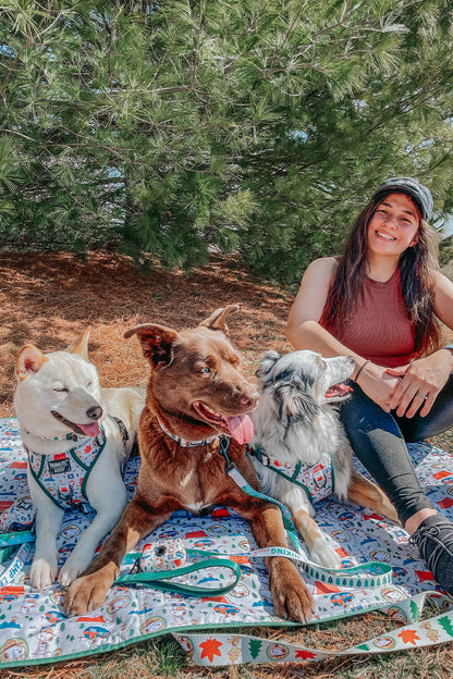 Dog Picnic Blanket - Peanuts™ Beagle Scouts