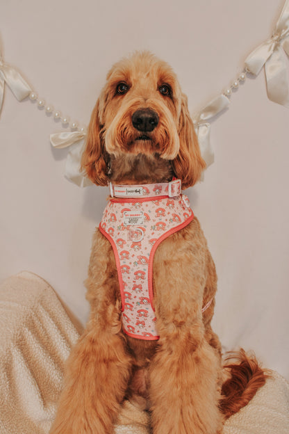 Dog Collar Three Piece Bundle - My Melody™