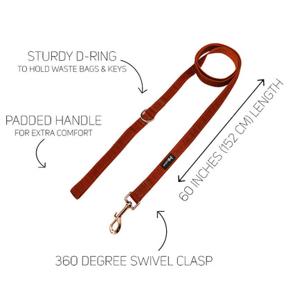 Dog Two Piece Bundle - Foxy