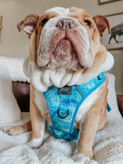 Dog Two Piece Bundle - Tropical Tides