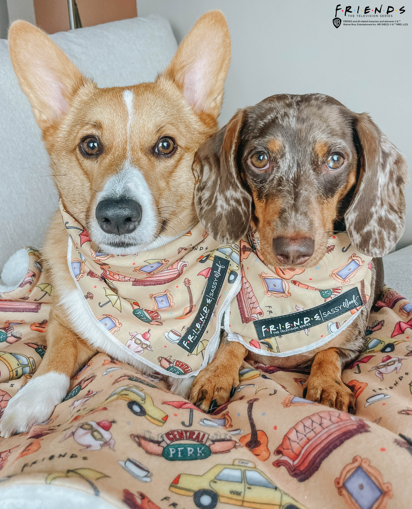 Dog Bandana - Friends™ (Yellow)