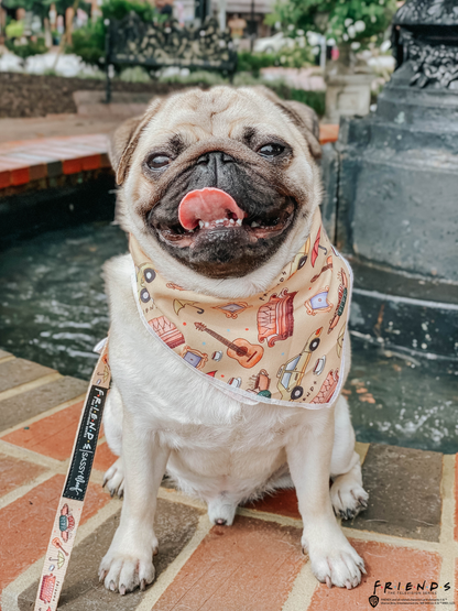 Dog Bandana - Friends™ (Yellow)