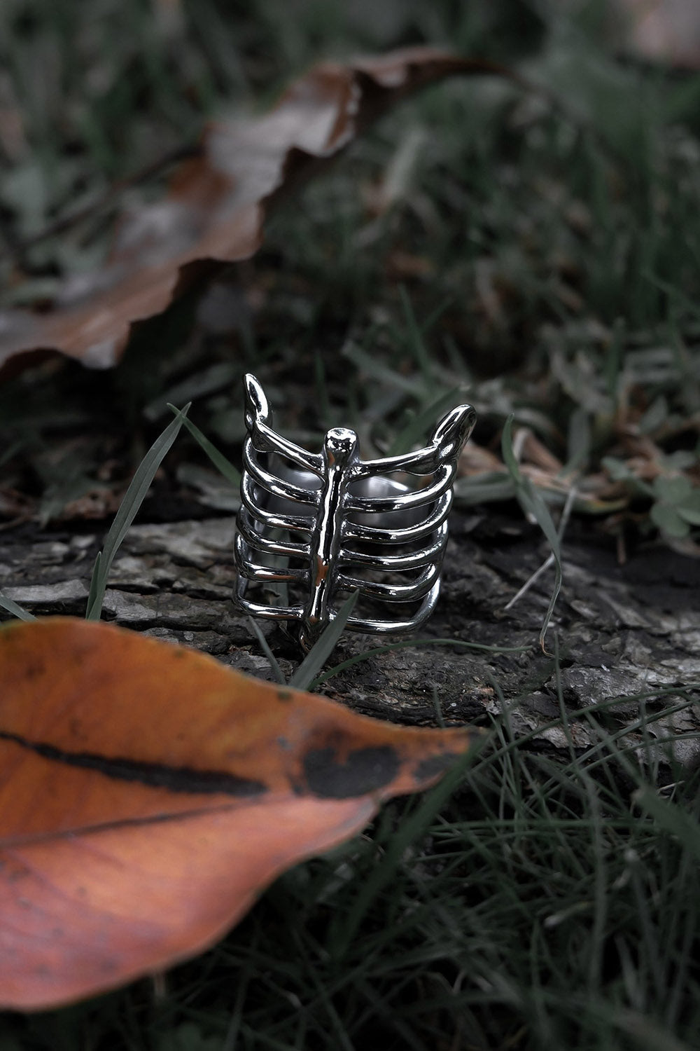 Caged Ring