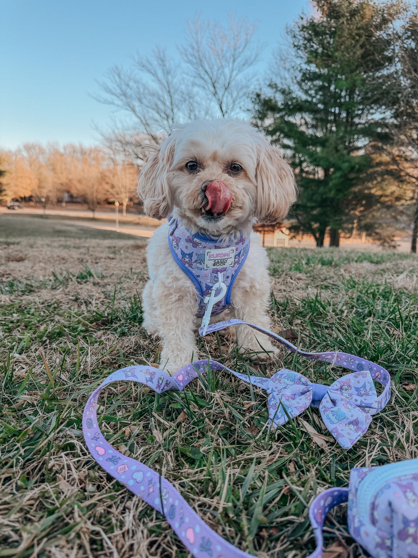 Dog Sailor Bow - Kuromi™