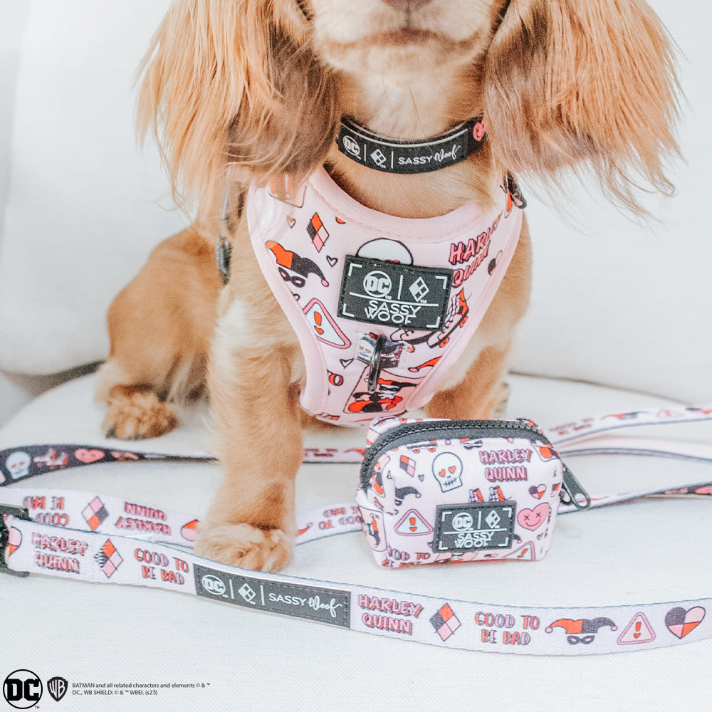 Dog Waste Bag Holder - Harley Quinn™
