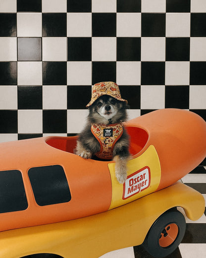 Dog Bucket Hat - Hot Dawg