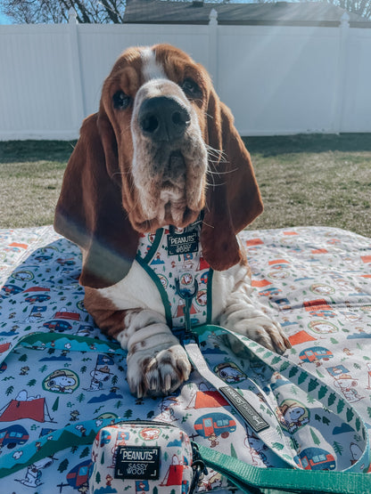 Dog Step-in Harness - Peanuts™ Beagle Scouts