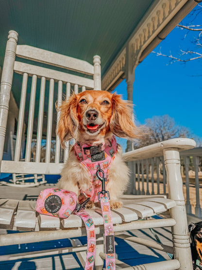 Dog Two Piece Bundle - Out of Office