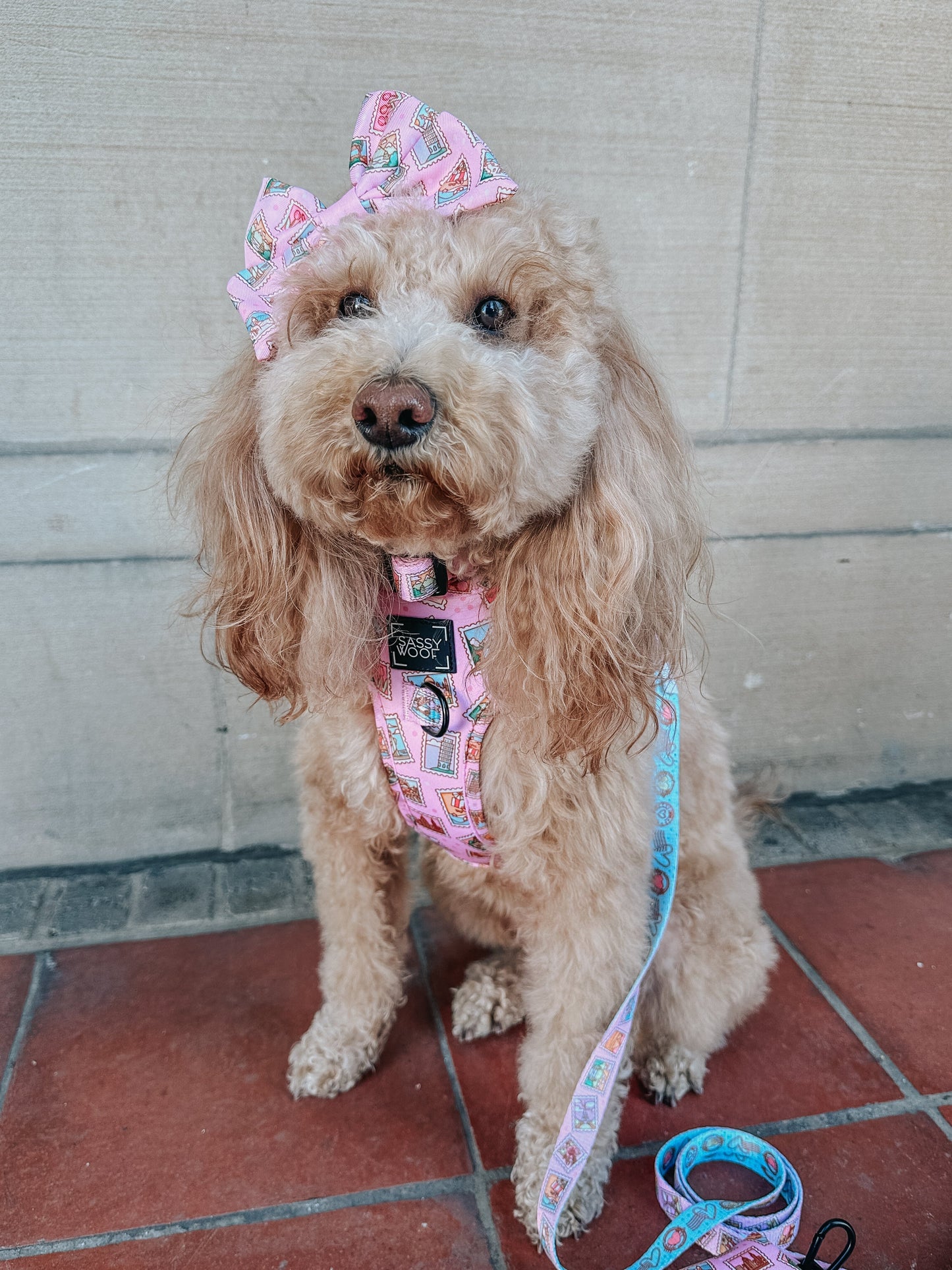 Dog Sailor Bow - Out of Office