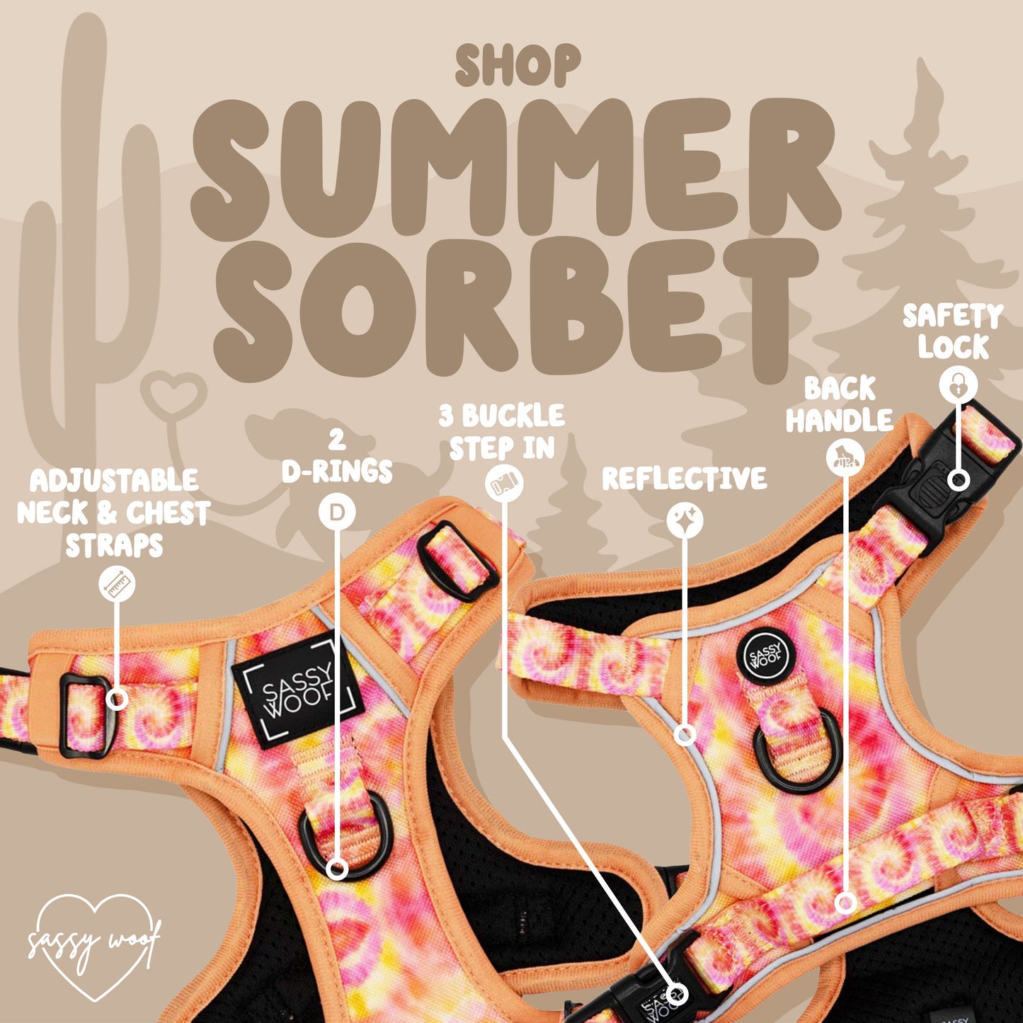 Dog Two Piece Bundle - Summer Sorbet