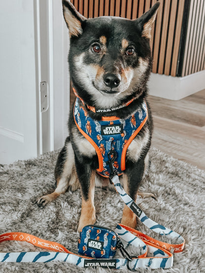 Dog Two Piece Bundle - STAR WARS™ Ahsoka