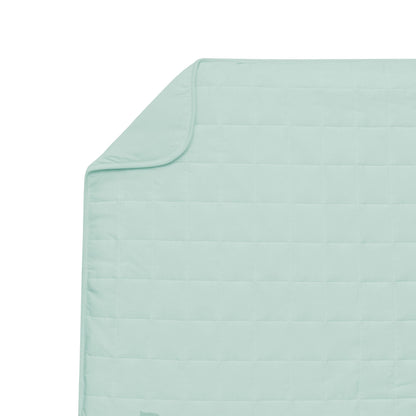 Adult Quilted Blanket in Sage 1.0