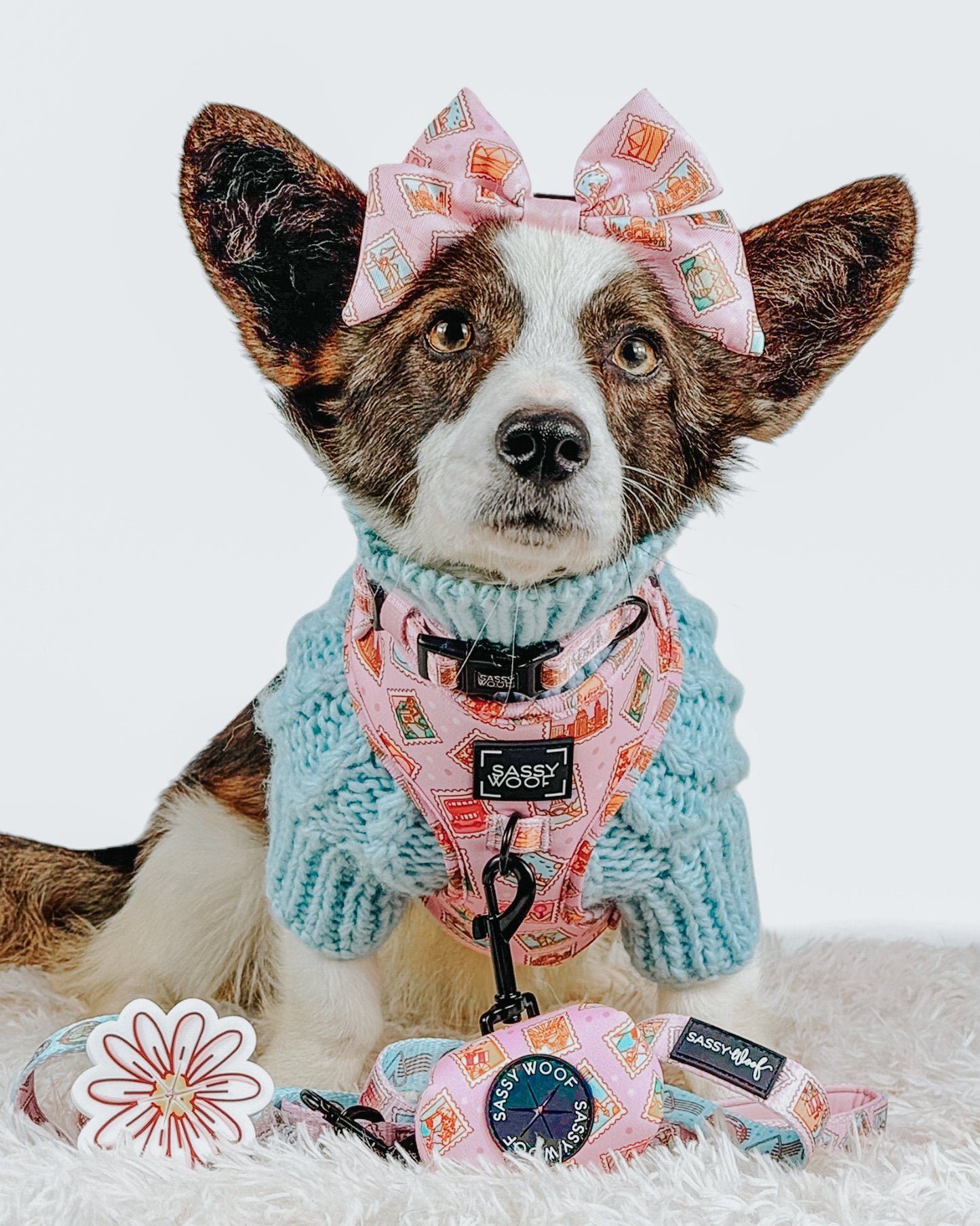 Dog Sailor Bow - Out of Office