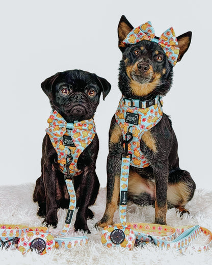 Dog Two Piece Bundle - Good Duck, Babe!