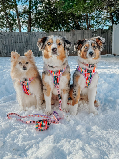 Dog Three Piece Bundle - Disney's Bambi