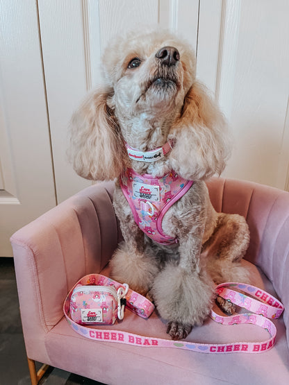 Dog Four Piece Bundle - Care Bears™ Cheer Bear