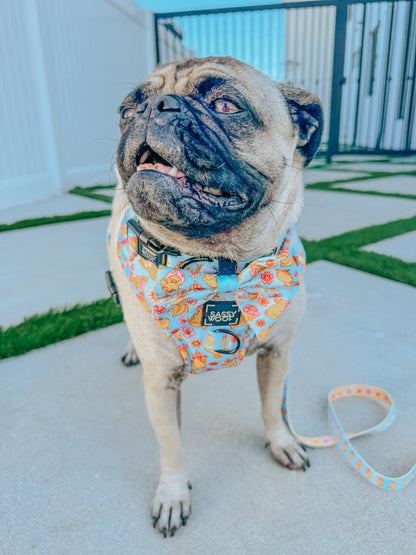Dog Two Piece Bundle - Good Duck, Babe!