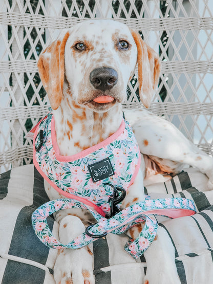 Dog Adjustable Harness - Magnolia