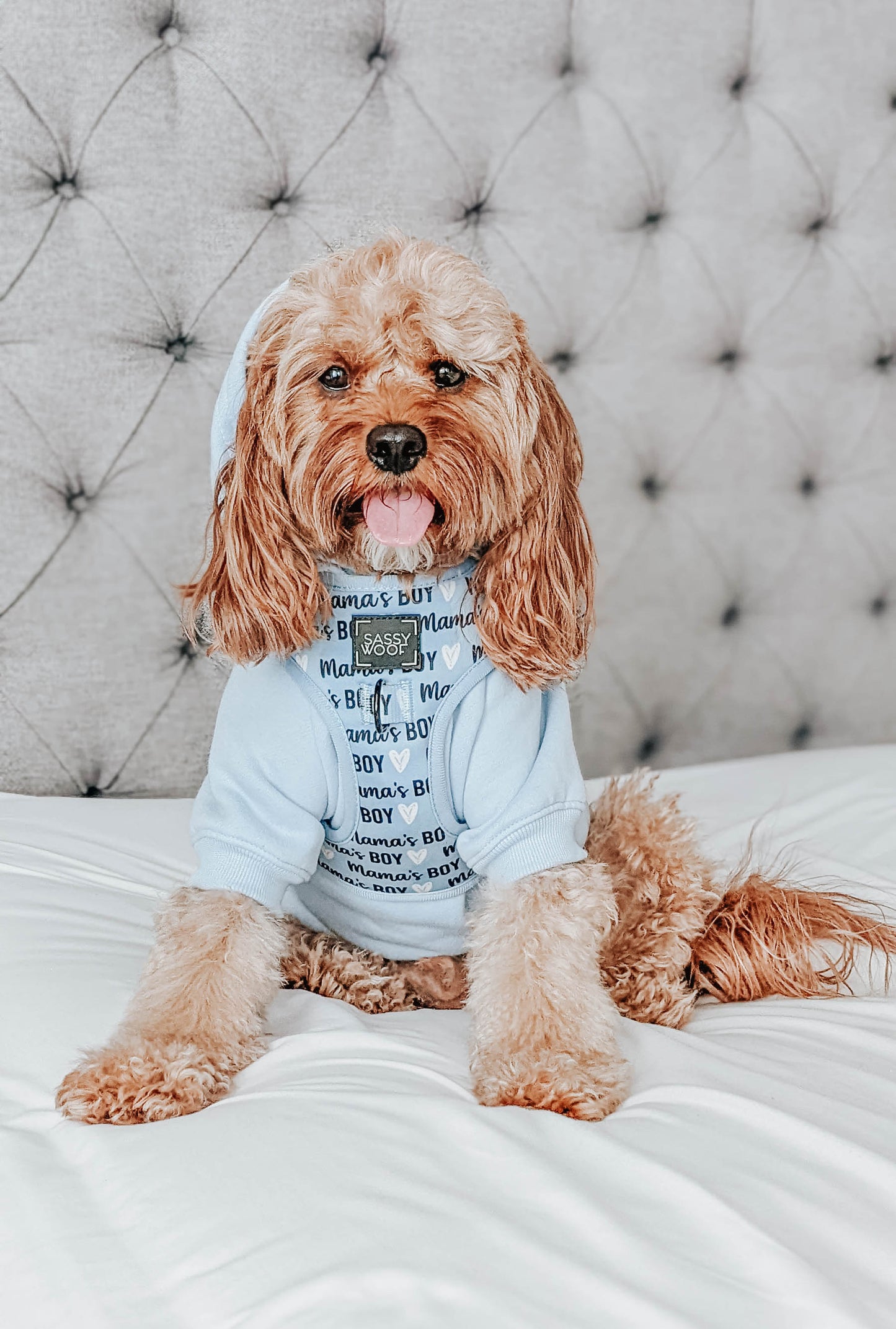 Dog Four Piece Bundle - Mama's Boy